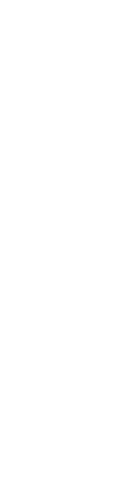 LOGO BLANCO Rectangular