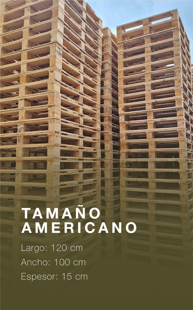 tamaño americano