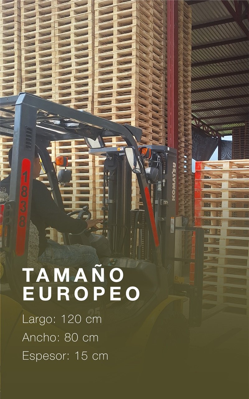 tamaño europeo