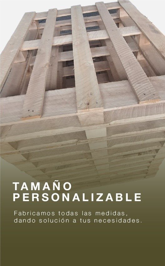 WhatsApp Image 2025-11-03 at 1.48.59 AM